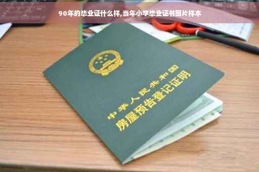 90年的毕业证什么样,当年小学毕业证书图片样本