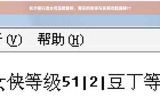 长沙银行流水号深度解析，背后的故事与实用功能揭秘??