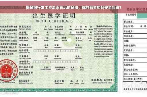 揭秘银行发工资流水背后的秘密，你的薪资如何安全到账？