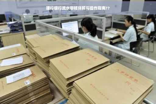 建行银行流水审核详解与操作指南??