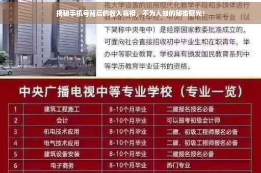 揭秘手机号背后的收入真相，不为人知的秘密曝光！
