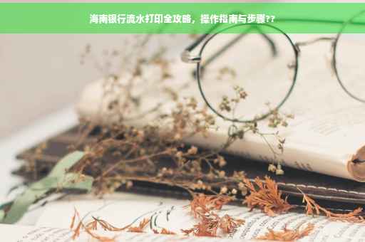 海南银行流水打印全攻略，操作指南与步骤??