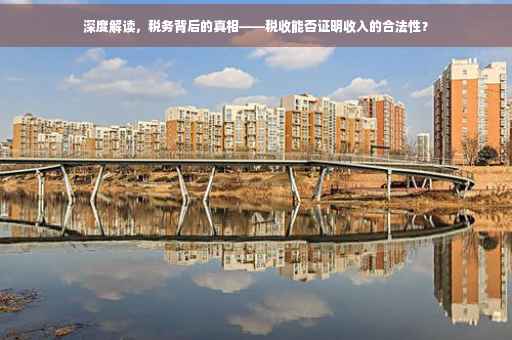 深度解读，税务背后的真相——税收能否证明收入的合法性？