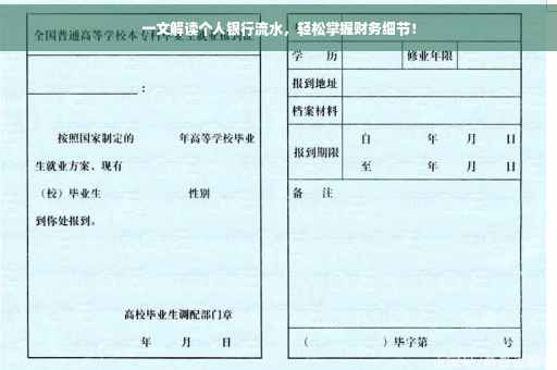 一文解读个人银行流水，轻松掌握财务细节！