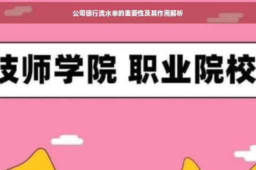 公司银行流水单的重要性及其作用解析