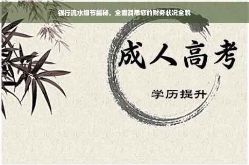 银行流水细节揭秘，全面洞悉您的财务状况全貌