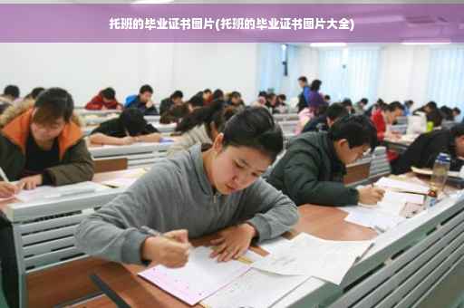 托班的毕业证书图片(托班的毕业证书图片大全)