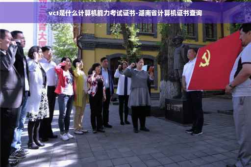 vct是什么计算机能力考试证书-湖南省计算机证书查询