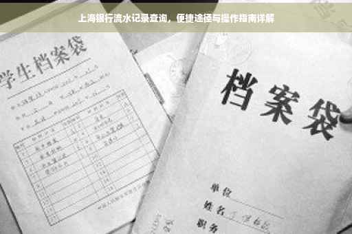 上海银行流水记录查询，便捷途径与操作指南详解
