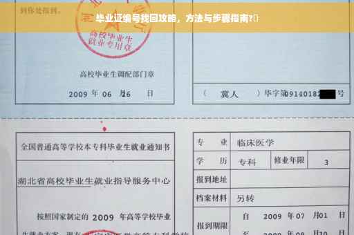 毕业证编号找回攻略，方法与步骤指南?✨