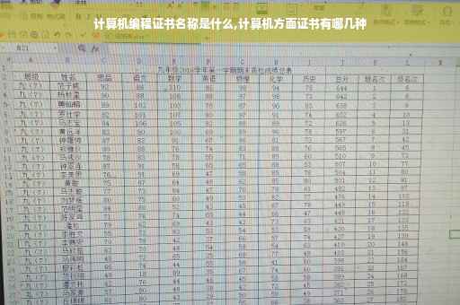 计算机编程证书名称是什么,计算机方面证书有哪几种