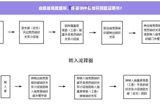 自媒体角度解析，疫苗接种后如何领取证明书？