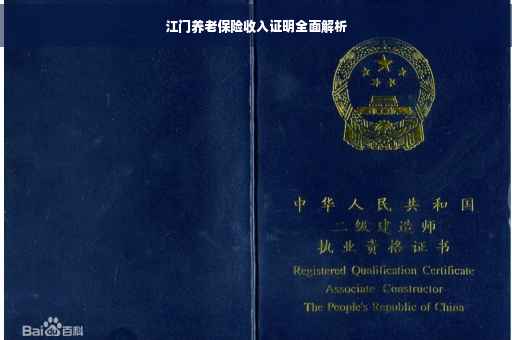 江门养老保险收入证明全面解析