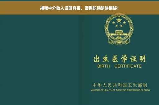 揭秘中介收入证明真相，警惕职场陷阱揭秘！