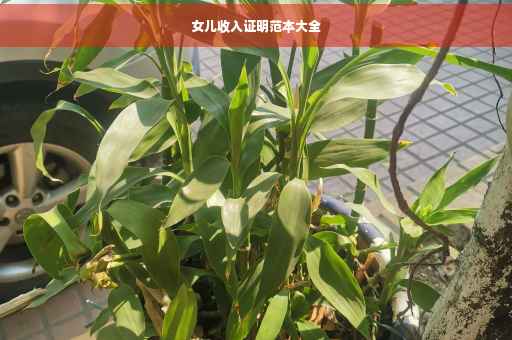 女儿收入证明范本大全
