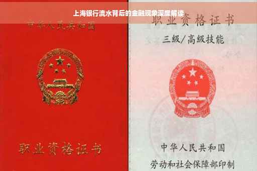 上海银行流水背后的金融现象深度解读