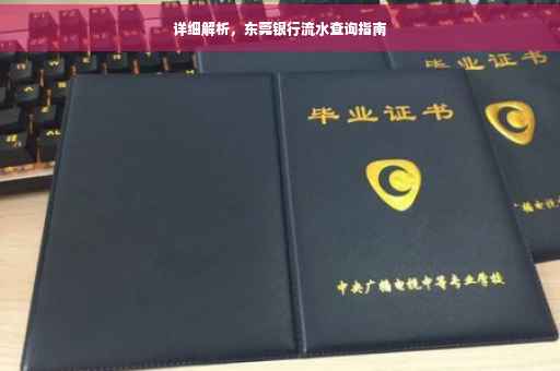 详细解析，东莞银行流水查询指南