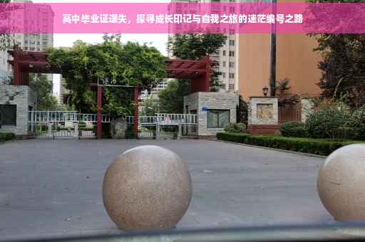 高中毕业证遗失，探寻成长印记与自我之旅的迷茫编号之路