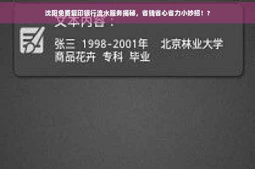 沈阳免费复印银行流水服务揭秘，省钱省心省力小妙招！?