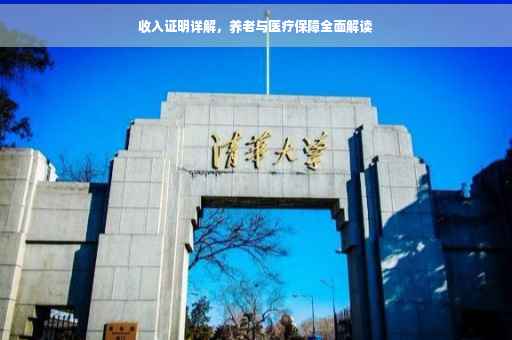 收入证明详解，养老与医疗保障全面解读