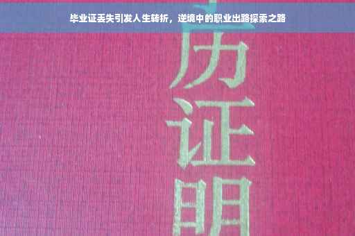 毕业证丢失引发人生转折，逆境中的职业出路探索之路