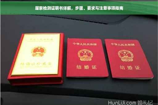 居家检测证明书详解，步骤、要求与注意事项指南