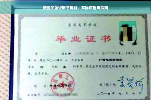 亲属关系证明书详解，实际应用与指南