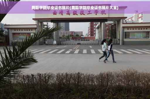 舞蹈学院毕业证书图片(舞蹈学院毕业证书图片大全)