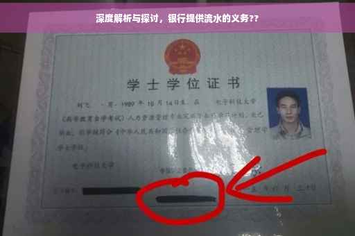 深度解析与探讨，银行提供流水的义务??