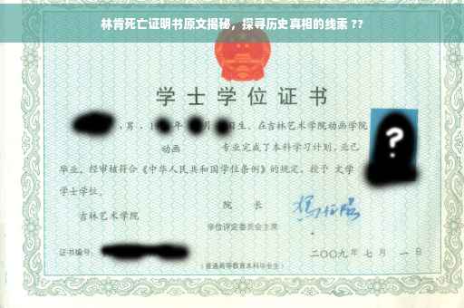 林肯死亡证明书原文揭秘，探寻历史真相的线索 ??