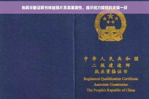 色弱诊断证明书样板图片及其重要性，揭示视力障碍的关键一环
