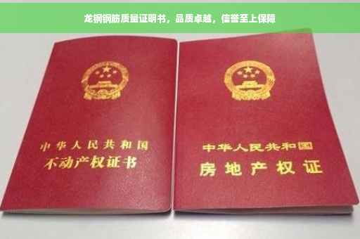 龙钢钢筋质量证明书，品质卓越，信誉至上保障