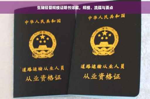 生猪经营规模证明书详解，规模、流程与要点