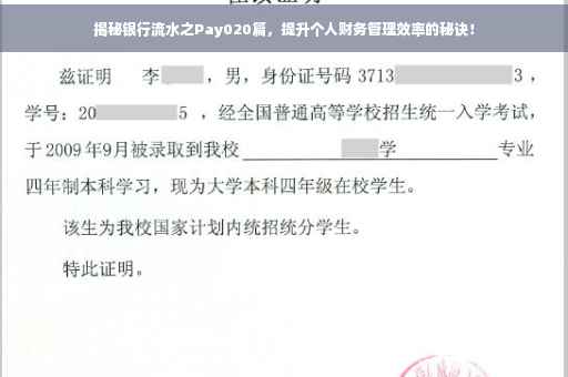 揭秘银行流水之Pay020篇，提升个人财务管理效率的秘诀！