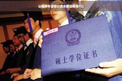 公租房申请银行流水解读指南?⚡️