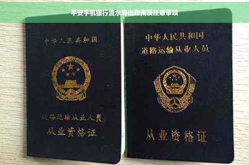 平安手机银行流水导出指南及注意事项