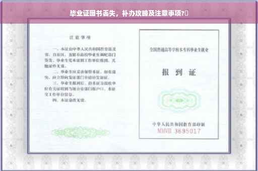 毕业证图书丢失，补办攻略及注意事项?✨