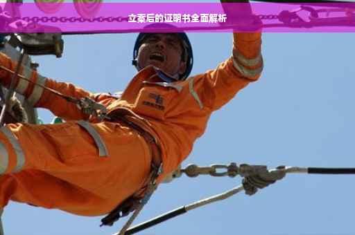 立案后的证明书全面解析