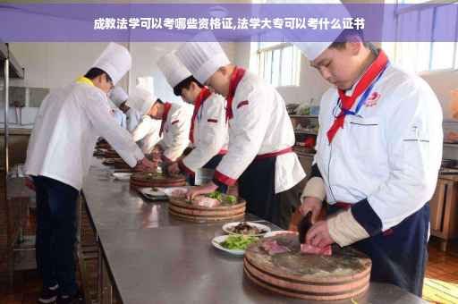 成教法学可以考哪些资格证,法学大专可以考什么证书
