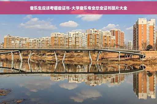 音乐生应该考哪些证书-大学音乐专业毕业证书图片大全