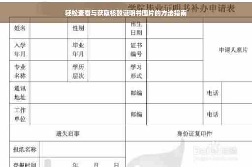 轻松查看与获取核酸证明书图片的方法指南