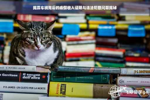 揭露车祸背后的虚假收入证明与违法犯罪问题揭秘