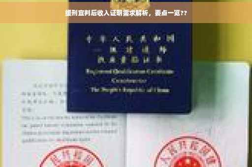 缓刑宣判后收入证明需求解析，要点一览??