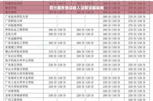 荷兰商务签证收入证明详解指南