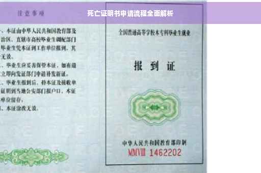 死亡证明书申请流程全面解析