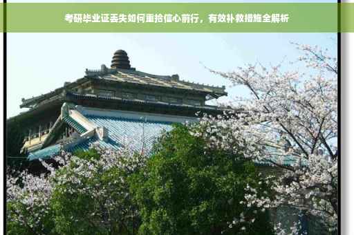 考研毕业证丢失如何重拾信心前行，有效补救措施全解析