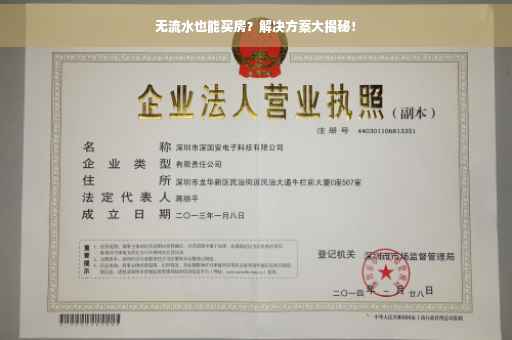 无流水也能买房？解决方案大揭秘！