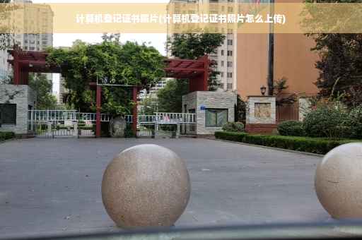 计算机登记证书照片(计算机登记证书照片怎么上传)