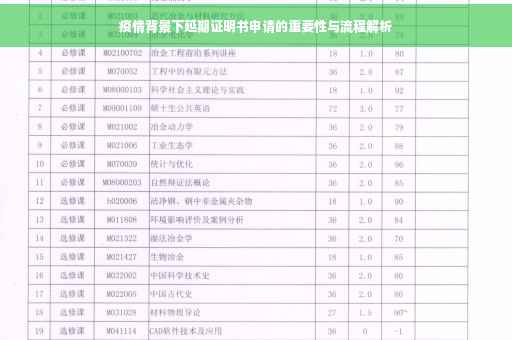 疫情背景下延期证明书申请的重要性与流程解析