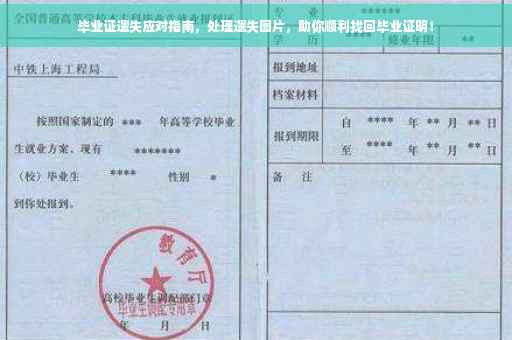 毕业证遗失应对指南，处理遗失图片，助你顺利找回毕业证明！